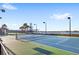 Community tennis court with lake views at 10713 Berry Creek Rd, Orlando, FL 32836