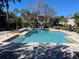Community pool with lounge chairs and palm trees at 1223 Arbor Lakes Cir, Sanford, FL 32771