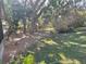 Backyard with mature trees and lush landscaping at 1520 Moravia Ave, Holly Hill, FL 32117