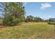 Spacious backyard with lush grass and mature trees at 256 Yellow Snapdragon Dr, Davenport, FL 33837
