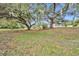 Large backyard with mature oak trees, providing shade and privacy at 6424 Sleepy Hollow Dr, Orlando, FL 32810