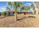 Tan single-story house with red door, palm trees, and a large yard at 1265 Lake Francis Dr, Apopka, FL 32712