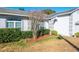 A close-up of the landscaped yard featuring a dry tree, green bushes, and white trim windows at 1161 Roxboro Rd, Longwood, FL 32750