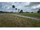Vacant lot with mature palm trees and grassy area at 1641 Lake Marion Dr, Apopka, FL 32712