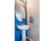 Small powder room with pedestal sink and blue accent wall at 8127 Cadman St, Orlando, FL 32832