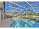 The screened pool is surrounded by lush landscaping and a tranquil lake view at 2981 Viscount Cir, Kissimmee, FL 34747
