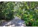 Paved pathway through lush tropical landscaping with various plants at 4285 Sea Mist Dr, New Smyrna Beach, FL 32169
