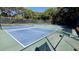 Two well-maintained blue pickleball courts surrounded by fencing at 4285 Sea Mist Dr, New Smyrna Beach, FL 32169