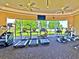 Well-equipped fitness center with lake views at 1519 Lake Rhea Dr, Windermere, FL 34786
