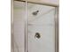 Clean shower with glass enclosure, shelves, and updated fixtures at 1582 Moon Valley Dr, Champions Gate, FL 33896