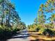 Paved road lined with mature trees and native foliage at 10097 Leland Dr, Orlando, FL 32827