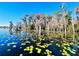 Captivating pond adorned with lily pads, reflecting the surrounding trees, showcasing the natural beauty at 10097 Leland Dr, Orlando, FL 32827