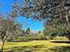 Vast green yard featuring mature trees and a serene picnic area at 10097 Leland Dr, Orlando, FL 32827