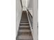 Carpeted staircase with dark wood railing at 1914 Summer Serenity Dr, Kissimmee, FL 34744