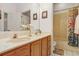 Well-lit bathroom featuring a double sink vanity and a shower/tub combination with colorful shower curtain at 2376 Park Village Pl, Apopka, FL 32712