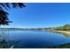 Scenic lakefront view with clear blue water and lush vegetation at 2376 Park Village Pl, Apopka, FL 32712