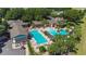 Aerial view of the community pool with a large pool, palm trees, and many chairs at 26812 Augusta Springs Cir, Leesburg, FL 34748