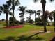 Lush landscaping with palm trees and a view of a house at 3017 Cottage Grove Ct # Ge, Orlando, FL 32822