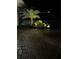 Brick driveway and landscaped yard with a palm tree and garden lights at 7760 Windbreak Rd, Orlando, FL 32819