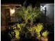 Front exterior with landscape lighting highlighting the palm trees and shrubbery at 7760 Windbreak Rd, Orlando, FL 32819