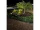 Landscaped front yard with palm trees and brick pavers, illuminated at night at 7760 Windbreak Rd, Orlando, FL 32819