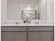 Double vanity bathroom with gray cabinets and a large mirror reflecting the shower at 1253 Limbali St, Mount Dora, FL 32757