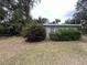 The backyard features shrubs and well-maintained lawn space, perfect for outdoor activities and relaxation at 127 W Palmetto Ave, Deland, FL 32720
