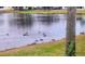 Peaceful lake view featuring a Gathering of ducks swimming at 164 Pergola Pl, Ormond Beach, FL 32174