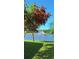 Scenic backyard view featuring a pond and lush greenery, accentuated by a bottle brush tree at 164 Pergola Pl, Ormond Beach, FL 32174