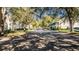Tree-lined street with ample parking at 231 Goldenrain Dr # 4304, Celebration, FL 34747