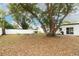 Large backyard with mature tree and fire pit at 992 Carnation Dr, Winter Park, FL 32792