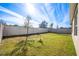 Fenced backyard with grassy area and young trees at 1016 Brooklet Dr, Davenport, FL 33837