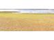 Lakefront lot with beautiful lake views and lush grass at 9000 Ogilvie Dr, Orlando, FL 32819