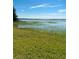 Scenic lakefront property with tranquil waters and greenery at 9000 Ogilvie Dr, Orlando, FL 32819