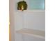 White built-in shelving with a small potted plant at 242 Orienta Point St # 242, Altamonte Springs, FL 32701