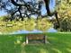 Serene lake view with bench under oak tree at 719 Mayfair Cir, Orlando, FL 32803