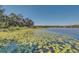 Serene lake view with abundant lily pads at 1120 Preserve Point Dr, Winter Park, FL 32789