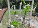 Garden trellis with climbing flowers adding natural beauty and privacy to the landscape at 2122 King Richards Ct, Orange City, FL 32763