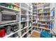 Well-organized pantry with ample shelving for storage at 16750 Sanctuary Dr, Winter Garden, FL 34787