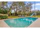 Inviting swimming pool with a slide, surrounded by a lush, tree-filled backyard at 223 Royal Oaks Cir, Longwood, FL 32779