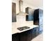 Modern kitchen with black cabinets, quartz countertops, and stainless steel appliances at 273 Ancona Ave, Debary, FL 32713