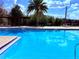 Community pool featuring pristine blue water and mature tropical landscaping at 9025 Savannah Julip Ln, Orlando, FL 32832