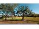 Large backyard with mature trees and open space at 3917 Derby Dr, Lakeland, FL 33809