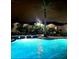 Night view of a resort-style pool with palm trees at 12021 Villanova Dr # 111, Orlando, FL 32837