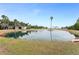 Picturesque pond view with lush greenery and calm waters at 2570 Canvasback Trl, Geneva, FL 32732