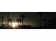 Bright sunset view through palm trees from a road at 2570 Canvasback Trl, Geneva, FL 32732