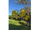 Lush yard view featuring vibrant yellow flowering Tabebuia tree under a clear blue sky at 2647 Zuni Rd, St Cloud, FL 34771
