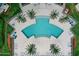 Aerial view of resort-style pool with surrounding lounge chairs and palm trees at 241 Riverside Drive # 409, Daytona Beach, FL 32117