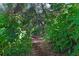 Serene nature trail through lush foliage at 4390 Saxon Dr, New Smyrna Beach, FL 32169