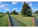Backyard with a fenced perimeter, showcasing a large lawn at 5106 Nw 35Th Lane Rd, Ocala, FL 34482